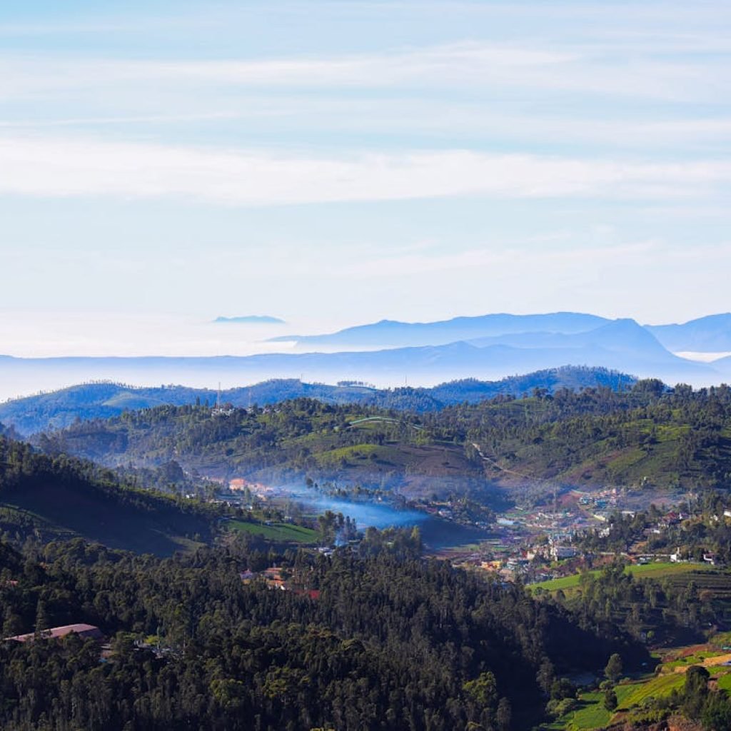 green-forest-on-hills-in-countryside