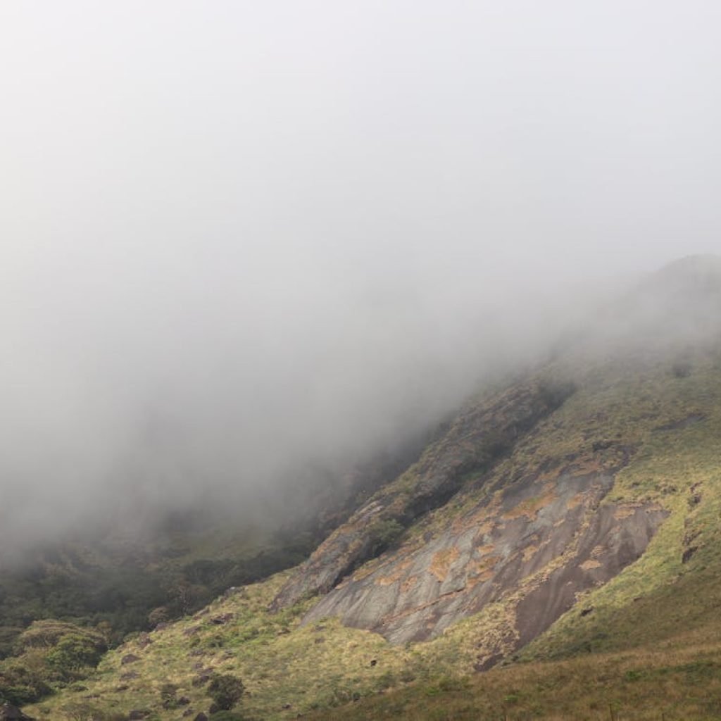 india-kerala-munnar